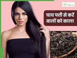 सफेद बालों को काला करने के लिए चाय पत्ती में मिलाकर लगाएं ये 2 चीजें, बालों के लिए नेचुरल हेयर डाई का करेगा काम