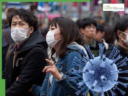 West Nile Virus: NYC Reports First Human Cases of 2025, Know The Symptoms And Preventive Measures