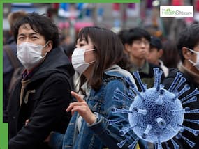 West Nile Virus: NYC Reports First Human Cases of 2025, Know The Symptoms And Preventive Measures