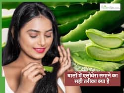 बालों में एलोवेरा लगाने का सही तरीका क्या है? सिर्फ इस तरह से इस्तेमाल करेंगे तो मिलेंगे ये खास फायदे