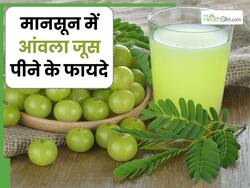 मानसून में आंवला जूस पीने से मिलेंगे ये 4 फायदे, इस तरह करें डाइट में शामिल