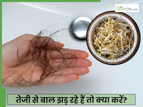 1 कंघी में गुच्छाभर बाल झड़ रहे हैं तो अपनाएं ये हेयर मास्क, नहीं होगा एक भी बाल का बांका