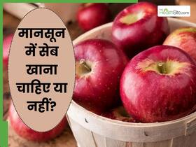 क्या मानसून में सेब खा सकते हैं? जानें एक्सपर्ट से