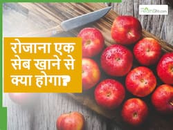 10 दिन तक रोजाना 1 सेब खाएंगे तो शरीर में दिखने लगेंगे ये 5 बदलाव और दूर हो जाएंगी कई बीमारियां