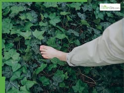 Benefits Of Walking Barefoot: 5 Health Advantages That You Can Get By Walking Barefoot