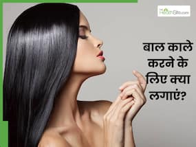 मानसून में बाल काले करने के लिए क्या लगाएं? जानें 5 चीजें, इन्हें लगाने से काले-घने बनेंगे बाल