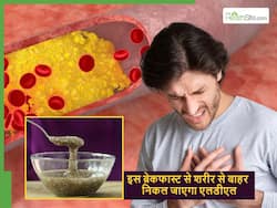 धमनियों में जमा कोलेस्ट्रॉल भी टॉयलेट में लगेगा निकलने, बस आज से ही खाना शुरु कर दें ये चीज