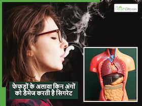 फेफड़ों के अलावा इन 5 अंगों को भी डैमेज करती है सिगरेट, इग्नोर नहीं करने चाहिए ये लक्षण फेफड़ों के अलावा इन 5 अंगों को भी डैमेज करती है सिगरेट, इग्नोर नहीं करने चाहिए ये लक्षण