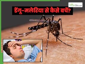 तेजी से बढ़ रहे डेंगू-मलेरिया के केस, बच्चे-बूढ़े बीमार होने से पहले सुन लें डॉक्टर की ये 5 बात