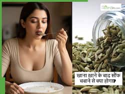 खाना खाने के बाद सौंफ चबाने से मिलते हैं ये 5 जबरदस्त फायदे, आप भी जान लें इसके फायदे