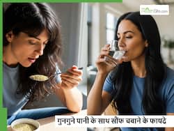 गुनगुने पानी के साथ सौंफ चबाने से क्या होगा? आसपास भी नहीं आएंगी ये 5 बीमारियां