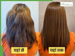 संडे हेयर वॉश के बाद बालों पर ऐसे लगाएं दही का पेस्ट, मंडे को सिल्की शाइनी हो जाएंगी जुल्फें