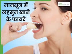 मानसून में रोज सुबह करें लहसुन का सेवन, सेहत को मिलेंगे ये 4 फायदे