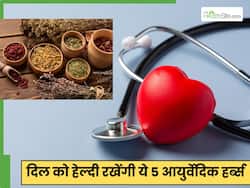 दिल को स्वस्थ रखने में असरदार हैं ये 5 आयुर्वेदिक हर्ब्स, कई गंभीर बीमारियों से होगा बचाव