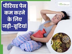 पीरियड्स का दर्द कम करने के लिए इन 5 जड़ी-बूटियों का करें सेवन, हार्मोनल संतुलन में भी मिलेगी मदद
