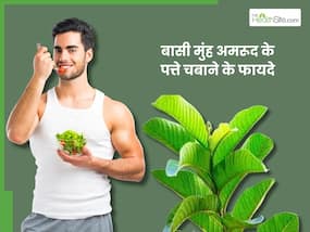बासी मुंह  सप्ताह में 3 बार चबाएं अमरुद के पत्ते, इन 5 समस्याओं से मिलेगा छुटकारा