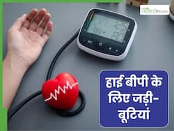 हाई बीपी में इन 5 जड़ी-बूटियों का करें सेवन, हार्ट हेल्थ में भी होगा सुधार