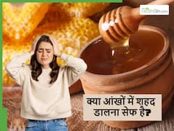 आंख में शहद डालने के फायदे या नुकसान? एक्सपर्ट ने दी सही जानकारी