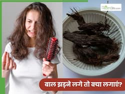 बाल झड़ने लगे तो क्या लगाएं? 1 नुस्खा रोक देगा बालों का जड़ से टूटना