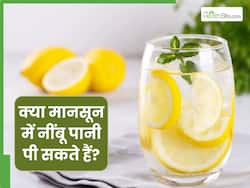 मानसून में नींबू पानी पीना चाहिए या नहीं? जानें एक्सपर्ट से