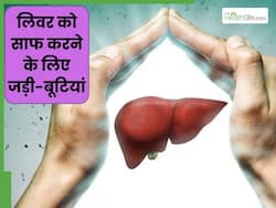 लिवर साफ करने के लिए इन 5 जड़ी-बूटियों का करें सेवन, सेहत में भी होगा सुधार