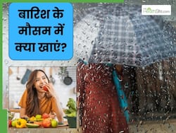 बारिश के मौसम में जरूर खानी चाहिए ये 3 चीजें, नहीं होती सर्दी जुकाम जैसी समस्याएं