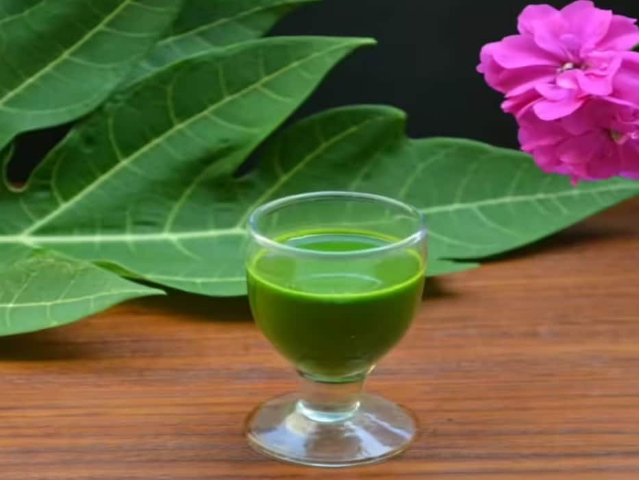 मानसून में बढ़ रहे हैं डेंगू के मामले, जल्दी रिकवरी के लिए डाइट में शामिल करें ये 5 चीजें