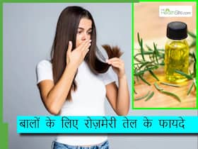 किस तेल की मालिश से तेजी से बढ़ने लगते हैं बाल? जानें रोजमेरी तेल से बालों को क्या फायदे मिलते हैं।