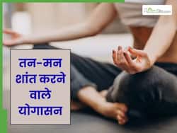 तन-मन को शांत रखते हैं ये 3 योगासन, घर-ऑफिस-किचन, कही भी करना है आसान