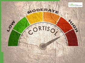 5 Nutrients That Can Help Lower Your Cortisol Levels 5 Nutrients That Can Help Lower Your Cortisol Levels
