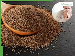 How To Use Ajwain For Blocked Nose? This Is What You Need To Know