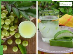 7 Amazing Benefits Of Aloe Vera And Amla Juice In The Morning