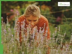 5 Indigenous Ayurvedic Herbs And Their Medicinal Benefits