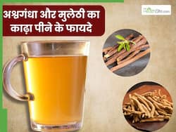 अश्वगंधा और मुलेठी का काढ़ा पीने से क्या होता है? जानें फायदे और सेवन का तरीका