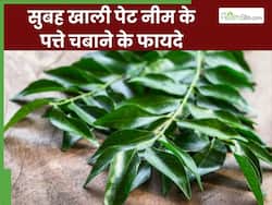 सुबह खाली पेट नीम के पत्ते चबाने से क्या होता है? एक्सपर्ट से जानिए इसके 5 फायदे
