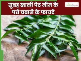 सुबह खाली पेट नीम के पत्ते चबाने से क्या होता है? एक्सपर्ट से जानिए इसके 5 फायदे