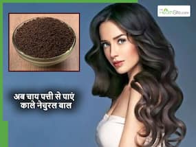 चाय पत्ती में क्या मिलाकर लगाने से काले होने लगेंगे बाल? अब महंगे Hair Color की जरूरत नहीं पड़ेगी