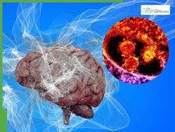 Rare Brain-Eating Amoeba Surges In Kerala; 67 Infected, 18 Dead In Kerala