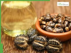 5 Best Ingredients To Mix With Castor Oil For Faster Hair Growth