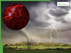 From Parkinson's To Heart Disease, Can Climate Change Trigger Noncommunicable Diseases?