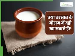 क्या बरसात के मौसम में दही खाना चाहिए? जानें, क्या है आयुर्वेद के हिसाब से सही