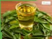 Curry Leaves Health Benefits: 6 Ways Drinking Kari Patta Water On An Empty Stomach Can Support Better Health