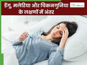 डेंगू, मलेरिया और चिकनगुनिया में क्या अंतर होता है? इन लक्षणों से पता करें आपको कौन सा बुखार है डेंगू, मलेरिया और चिकनगुनिया में क्या अंतर होता है? इन लक्षणों से पता करें आपको कौन सा बुखार है