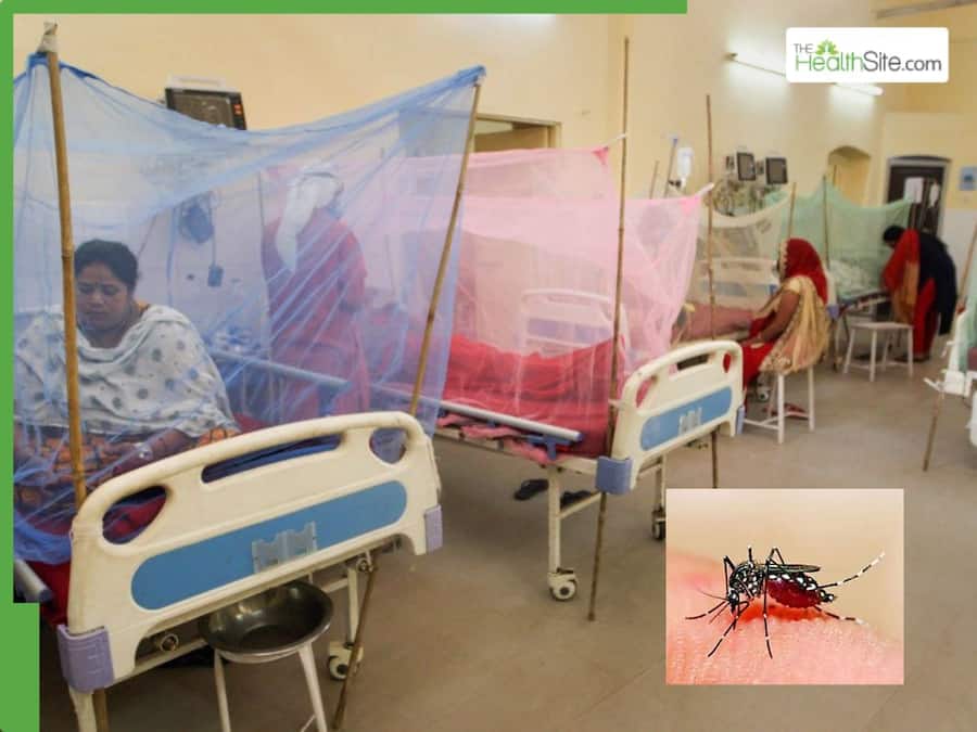 Dengue Cases Surge in Noida and Ghaziabad: 265 Rapid Response Teams Deployed, Test Prices Fixed at Rs 600 Dengue Cases Surge in Noida and Ghaziabad: 265 Rapid Response Teams Deployed, Test Prices Fixed at Rs 600