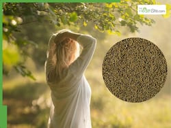 How To Consume Fenugreek Seeds For Faster Hair Growth, Benefits And Recipe