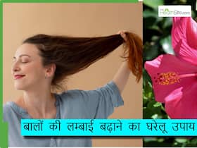 नारियल तेल में मिला लें ये हरी पत्तियां, बालों में लगाते ही शुरू हो जाएगी हेयर ग्रोथ