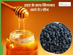 शहद मिलाकर खाएं ये 1 काले रंग की बीज, हार्ट से लेकर पाचन तंत्र भी रहेगा मजबूत