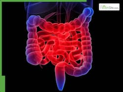 7 Warning Signs Of An Inflamed Gut That Can Affect Even Healthy Eaters