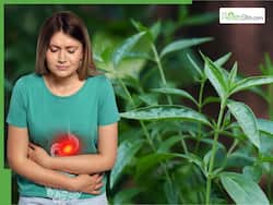 Kalmegh And Bhumi Amla: Two Most Powerful Ayurvedic Herbs To Heal Acidity And Improve Gut Health