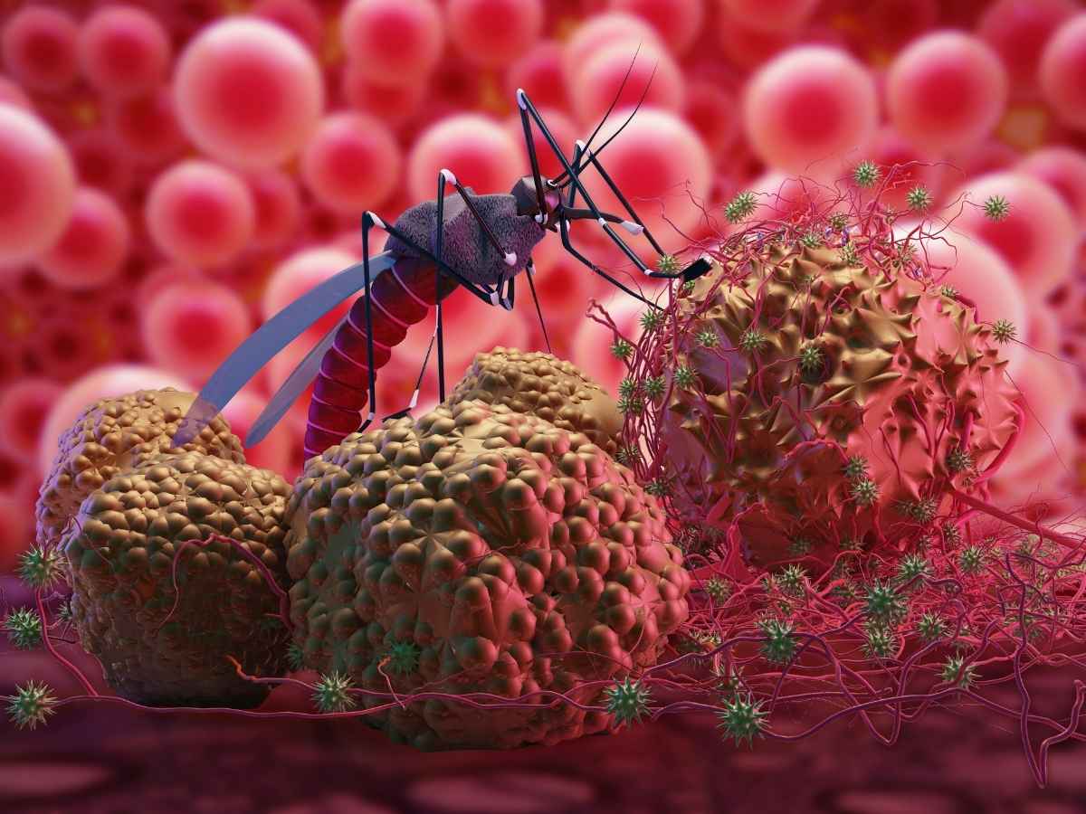 Malaria